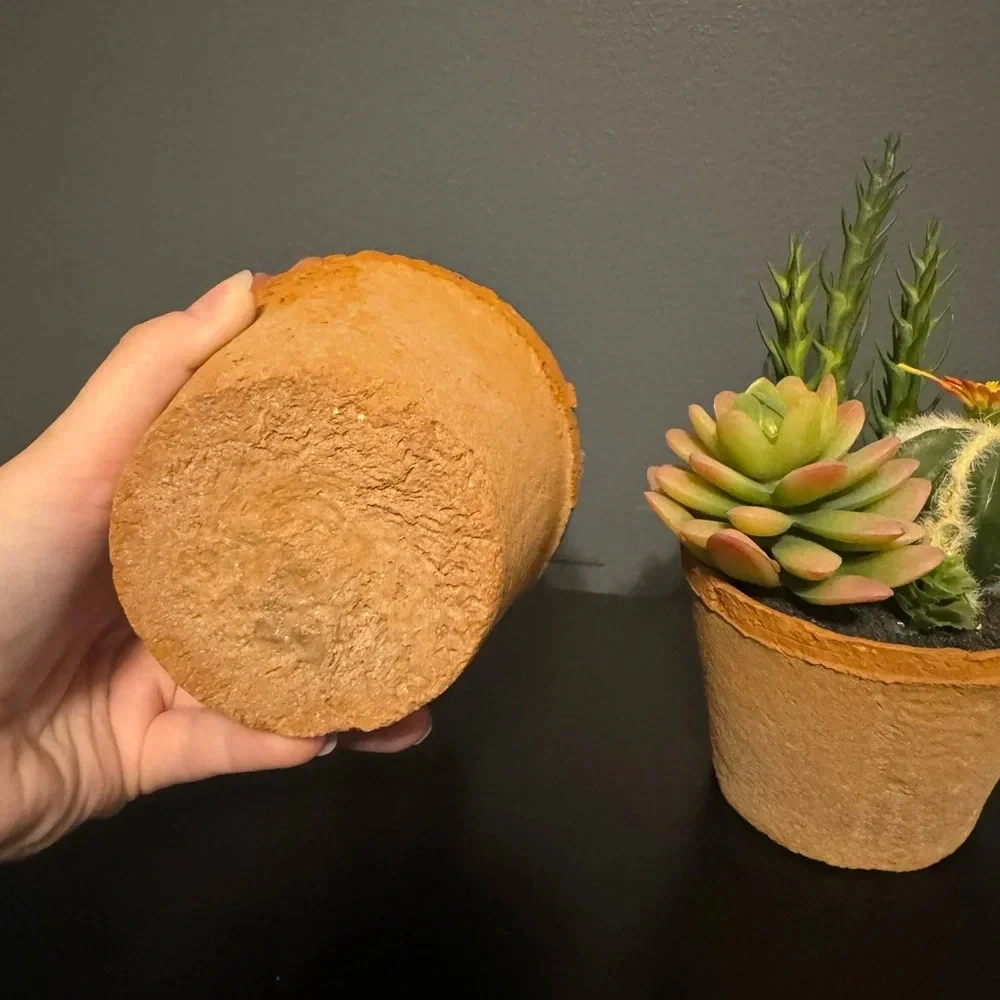 Fake succulent decor set of 2